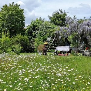 Unser Haus & Garten