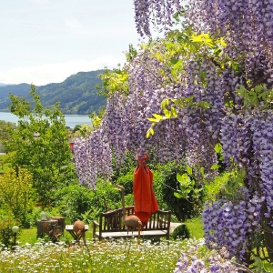 Unser Haus & Garten