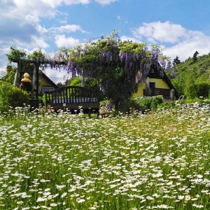 Unser Haus & Garten