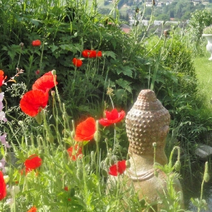 Unser Haus & Garten