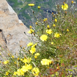 Madeira