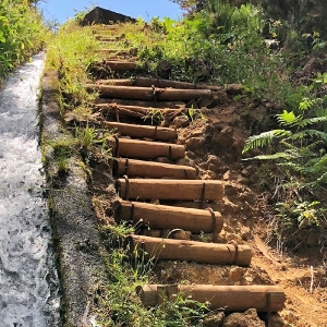 Madeira