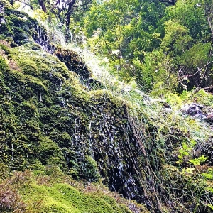 Madeira