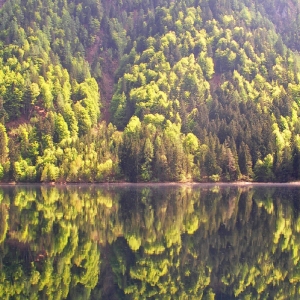 Sommer am Millstätter See