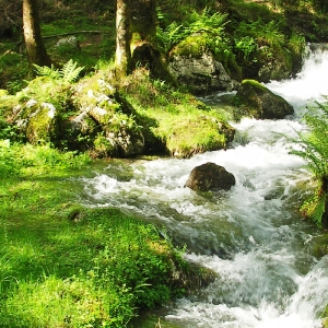 Sommer am Millstätter See