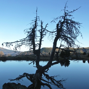 Sommer am Millstätter See