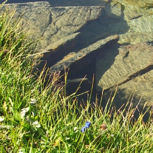 Sommer am Millstätter See