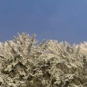 Winter am Millstätter See